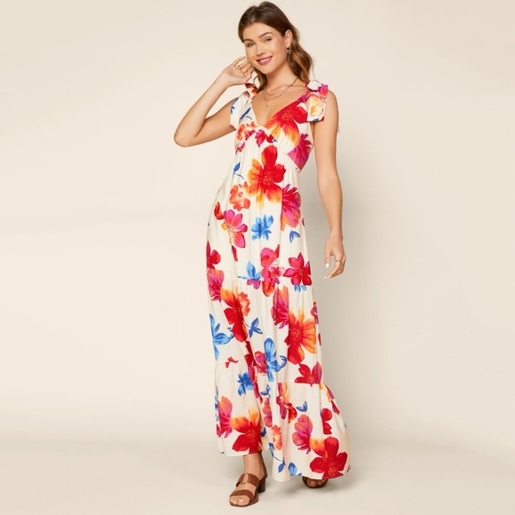 SKIES ARE BLUE Clothing Women Flora Floral Maxi Sleeveless Dress in Size Medium - Picture 2 of 11